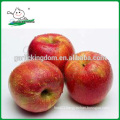 Qinguan Apples/Fresh Qinguan Apples/Delicious Qinguan Apples